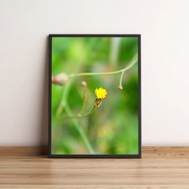 Quadro Flor Amarela 34