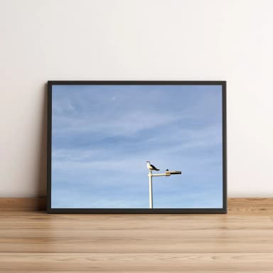 Quadro Pássaro em Poste Sobre a Lua 350