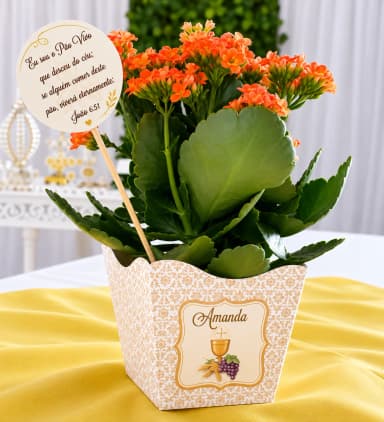 Cachepot (grande) + Topper Primeira Comunhão