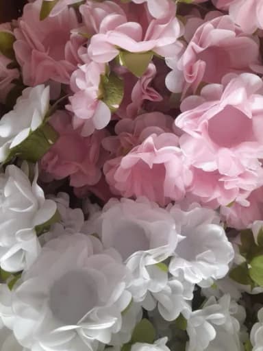 Forminhas Coração Apaixonado Rosa Bebe