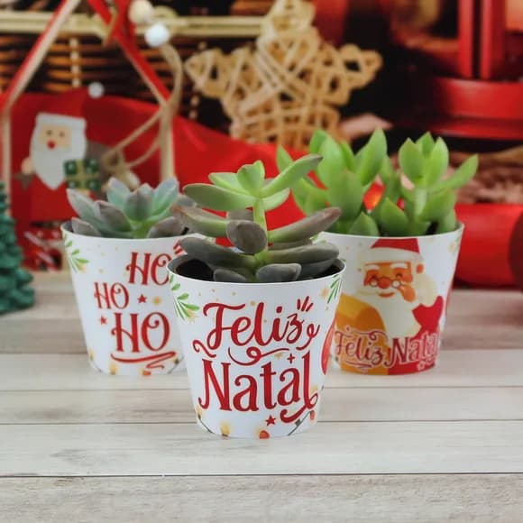 Embalagem Suculenta Natal - Não Acompanha Suculenta
