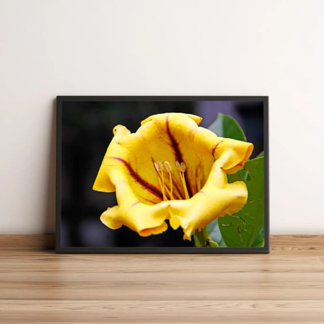 Quadro com Flor Amarela em Close Up Decoração Natural 2037