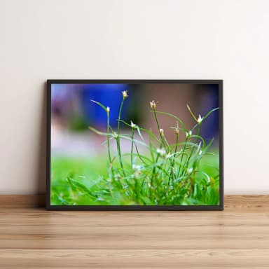 Quadro com foco na natureza e grama detalhada 832