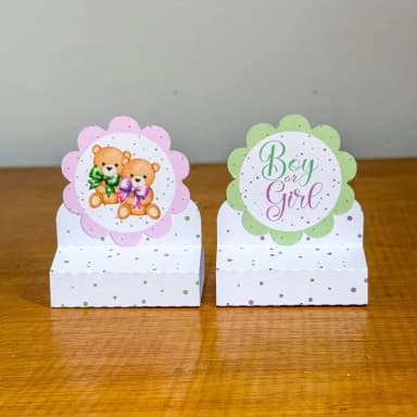 PEGUE E MONTE - Porta Bis Duplo Personalizados CHA REVELAÇÃO VERDE E LILAS - Decoração de Festa | Lembrancinhas | Aniversário | Personalizados