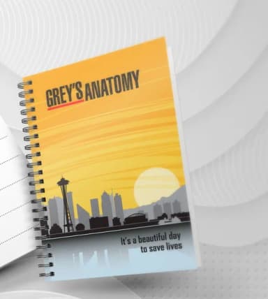 Agenda 2024 Greys Anatomy