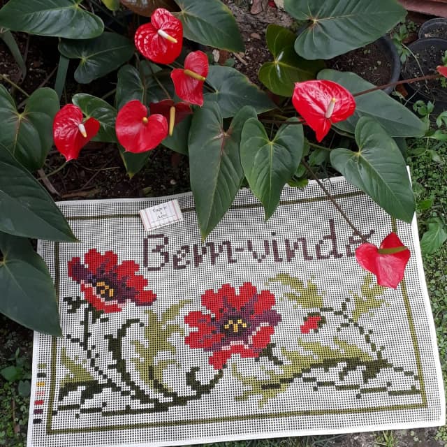 Tela pintada para bordar tapeçaria - Talagarça grossa