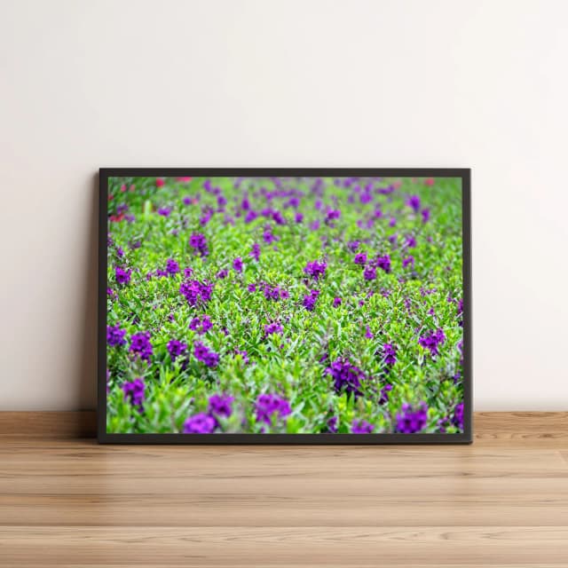 Quadro Jardim De Flores Roxas 36
