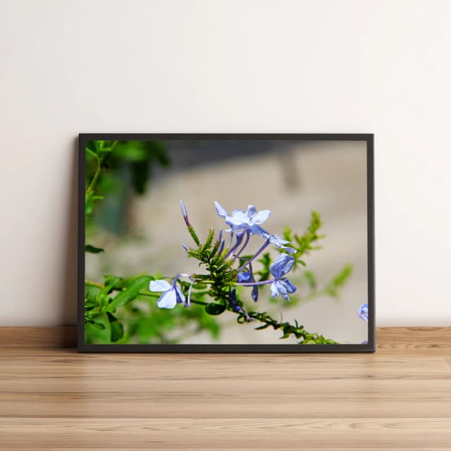 Quadro com Flores Azuis em Galhos Verdes Decoração Natural 2040