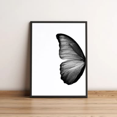 Quadro Asa de Borboleta 363