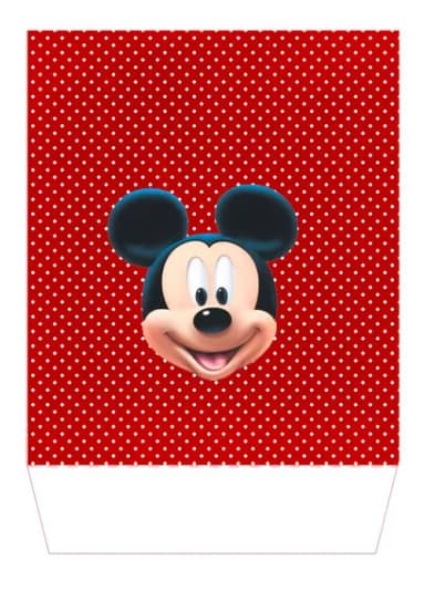 Sacola Personalizada P