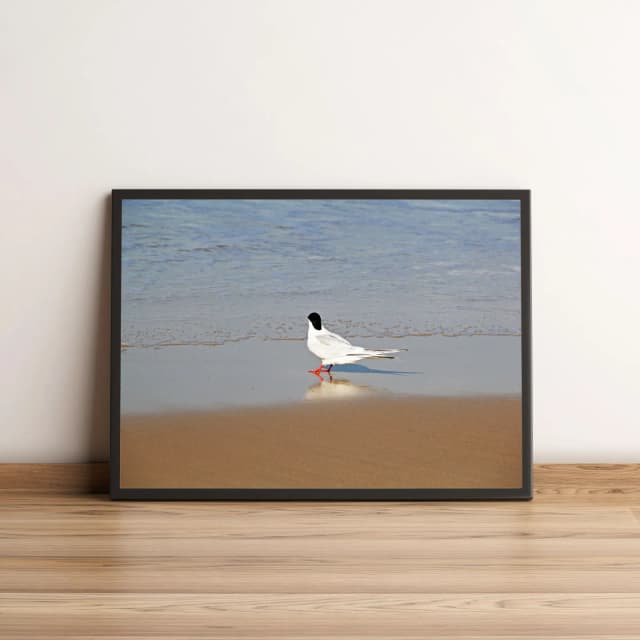 Quadro Pássaro em Areia de Praia 347