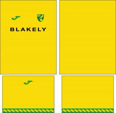 Arte Vetor Camisa Norwich City Local 2025-2026