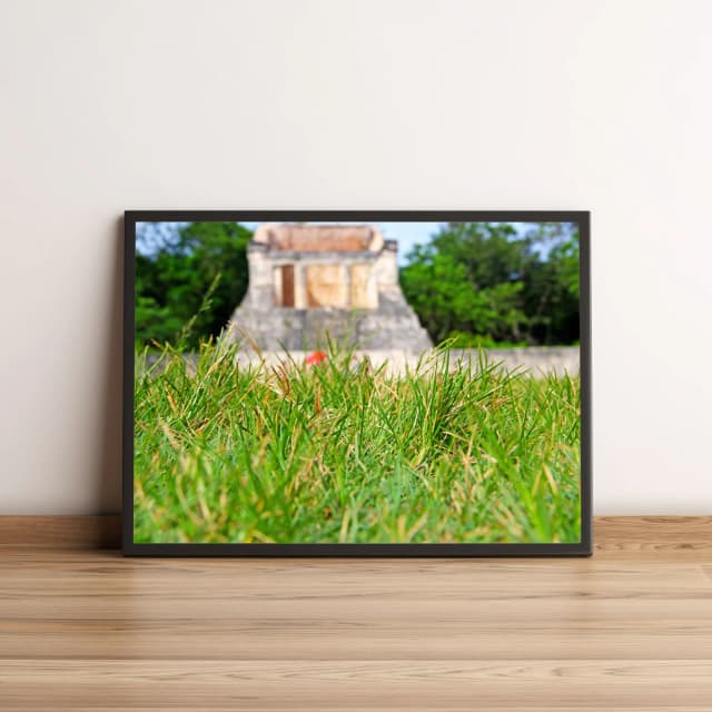 Quadro Decorativo com Gramado Verde e Monumento Antigo 1953