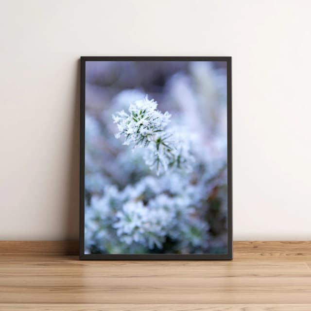 Quadro Galhos de Árvore com Flocos de Neve 436
