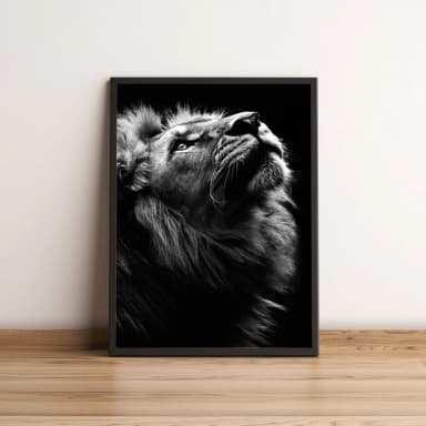 Quadro majestade do leão em preto e branco 48