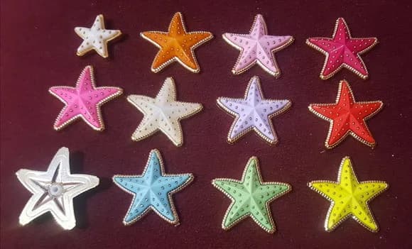Aplique Estrela do Mar Colorida de 3,5cm 10 Unidade