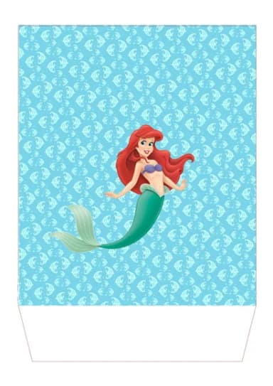 Sacola Personalizada P