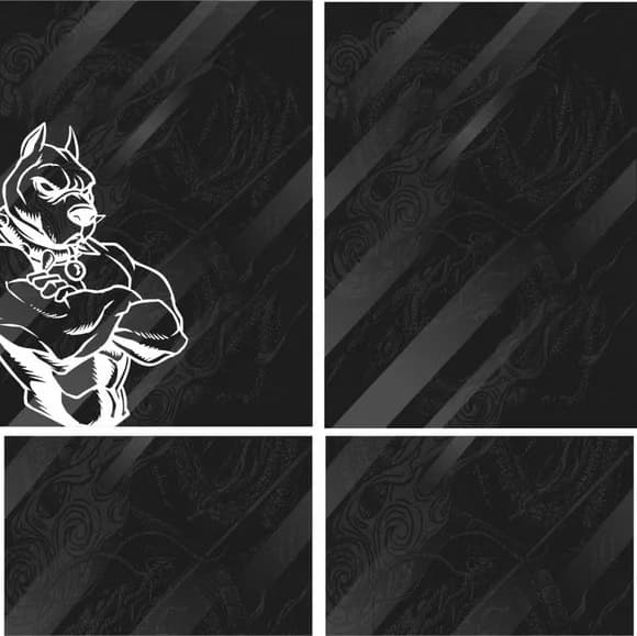 Arte Vetor Camisa Interclasse Dog Dragon Mod-147