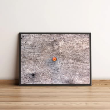 Quadro Detalhe de Textura Rústica com Prego 824