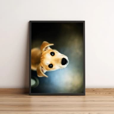 Quadro com Foto de Cachorro Adorável 148