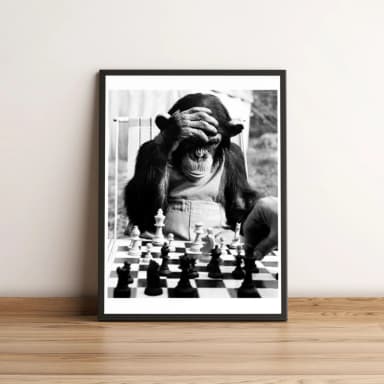 Quadro Macaco Jogando Xadrez 161