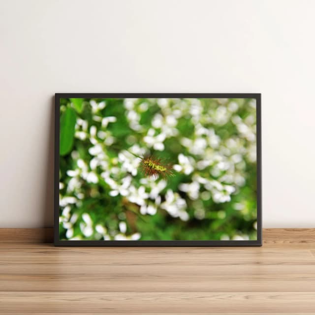 Quadro Decorativo com Flor Exótica e Folhagem Verde 1984