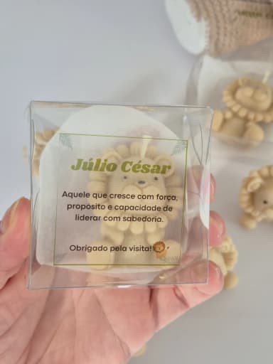 Lembrancinhas maternidade,  aniversário safari, leãozinho