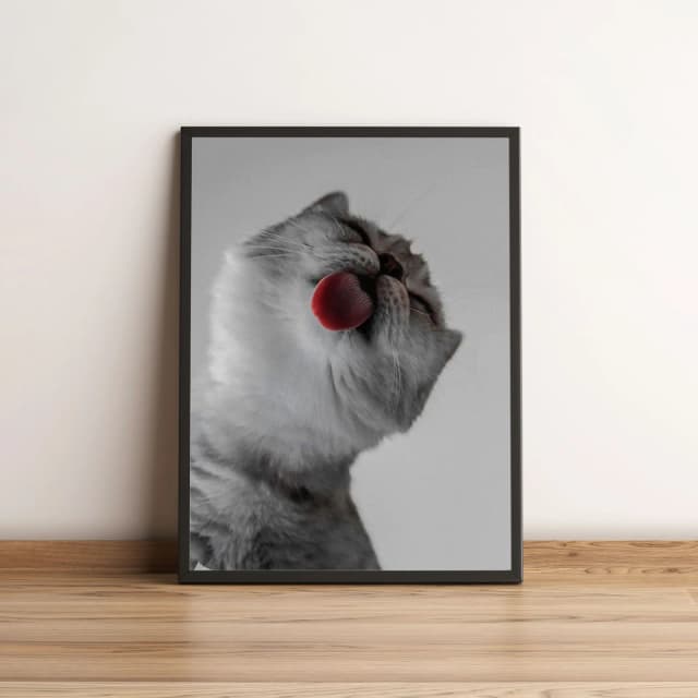 Quadro Gato Lambendo a Tela 20