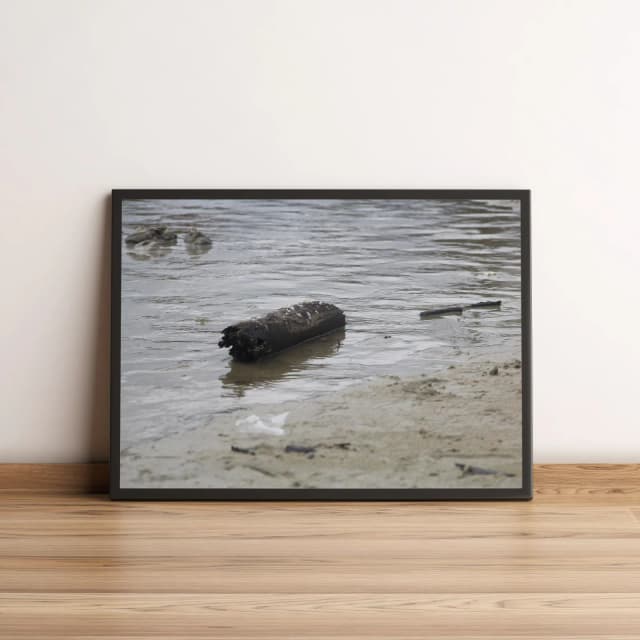 Quadro Decorativo com Tronco Flutuando na Água e Areia 1988