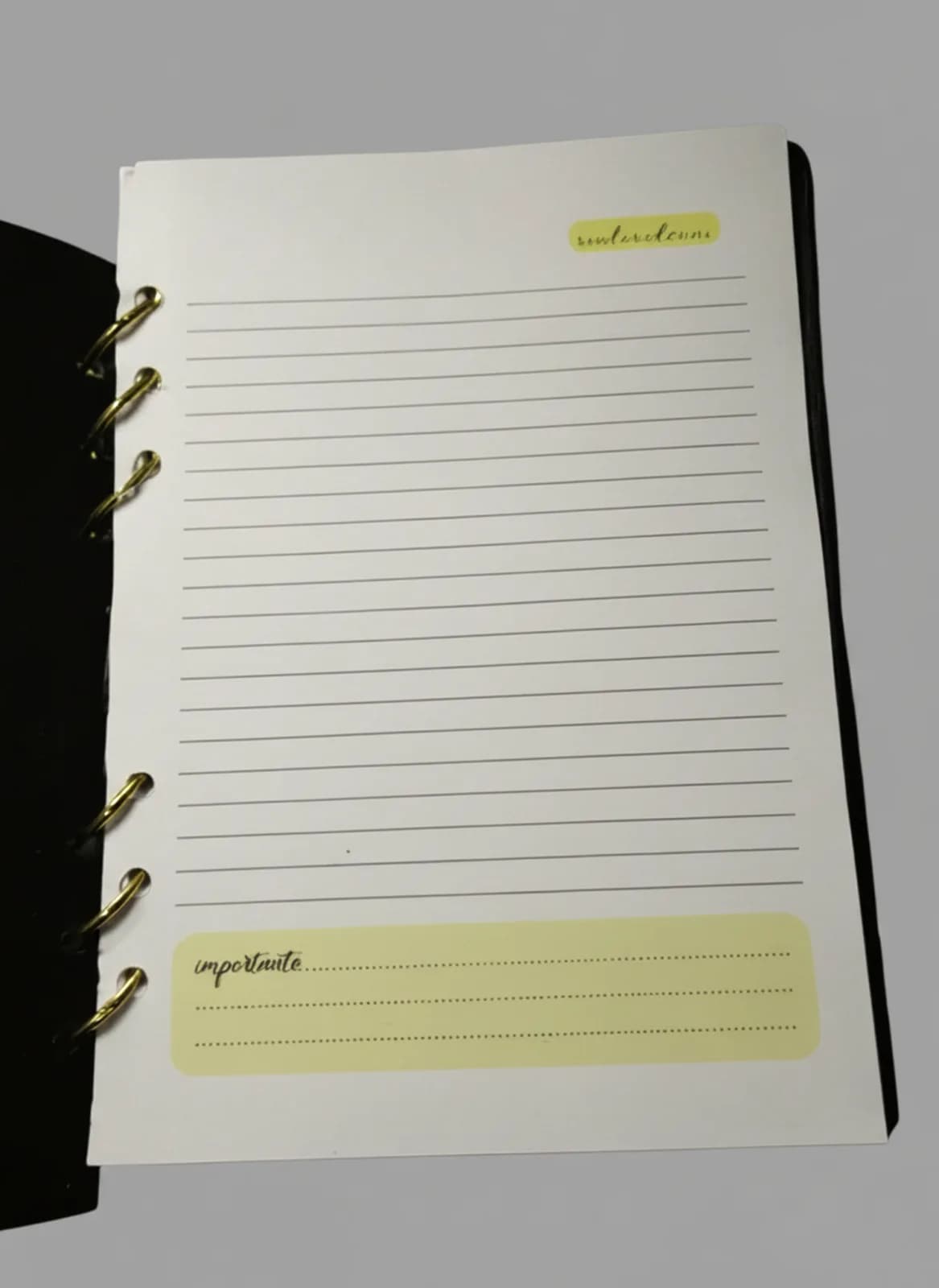 Caderno Argolado Capa de Resina