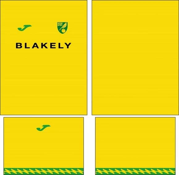 Arte Vetor Camisa Norwich City Local 2025-2026