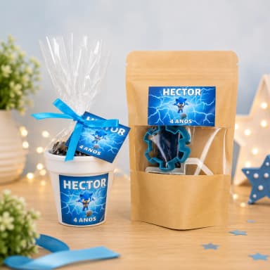 25 Uni. Kit Jardinagem + 25 Uni. Kit Massinha Zip Lock - Sonic  - Informar o tema no chat da compra.