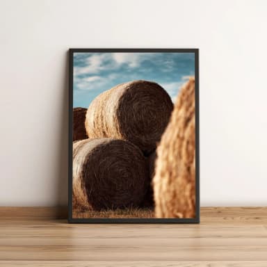 Quadro Decorativo com Fardos de Palha no Campo Rural 2146