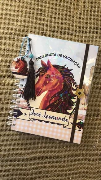 Caderneta de Saúde / Vacinação Personalizada - Cavalinho
