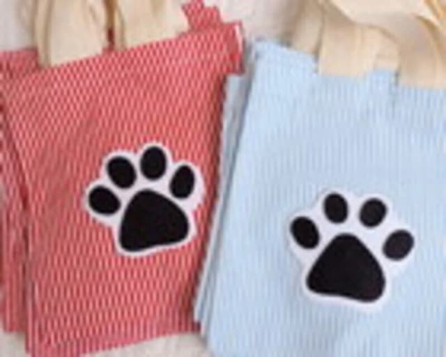 Sacolinha Patrulha canina