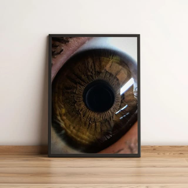 Quadro Íris de Olho Humano Marrom Decoração Moderna 2200