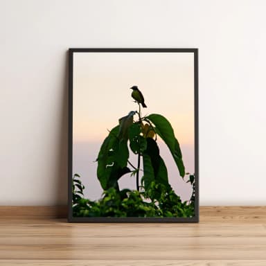 Quadro Pássaro Sobre Galho de Árvore 07