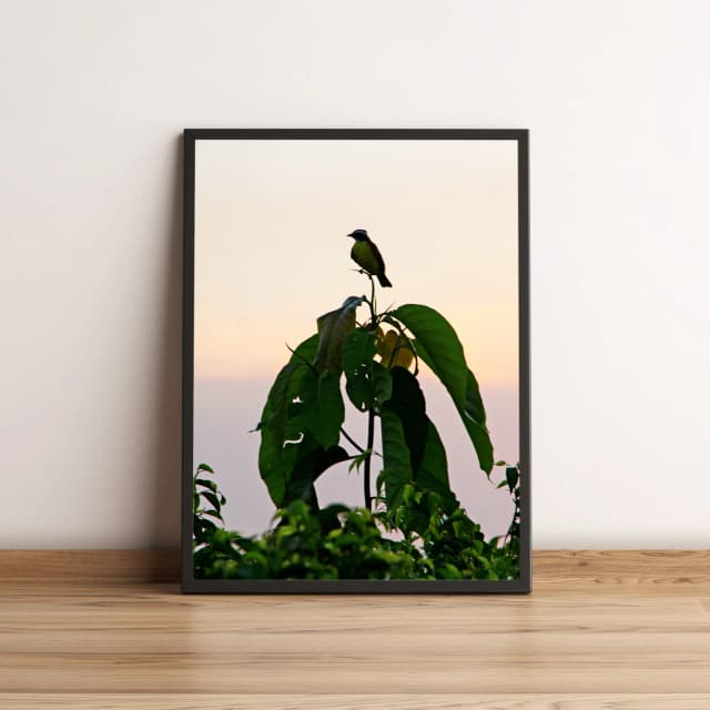 Quadro Pássaro Sobre Galho de Árvore 07
