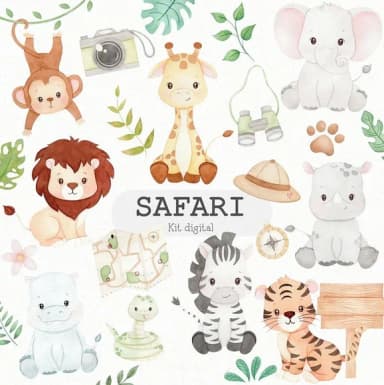 Kit Digital Safari *02