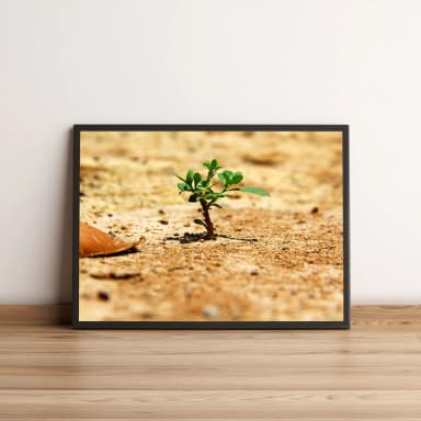 Quadro Pequena Planta Verde 40