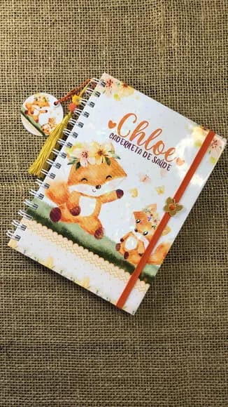 Caderneta de Saúde / Vacinação Personalizada - Raposinhas