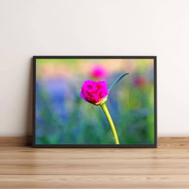 Quadro Flor Com Pétalas Rosas 336