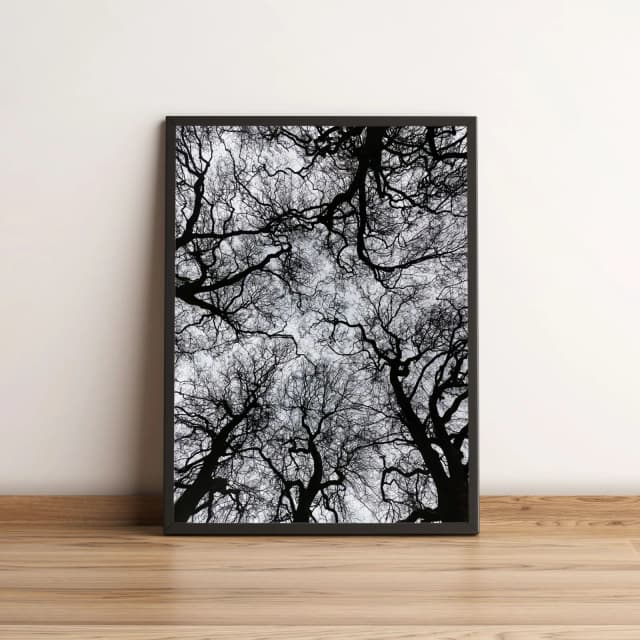 Quadro com Árvores em Preto e Branco Decoração Moderna 2201