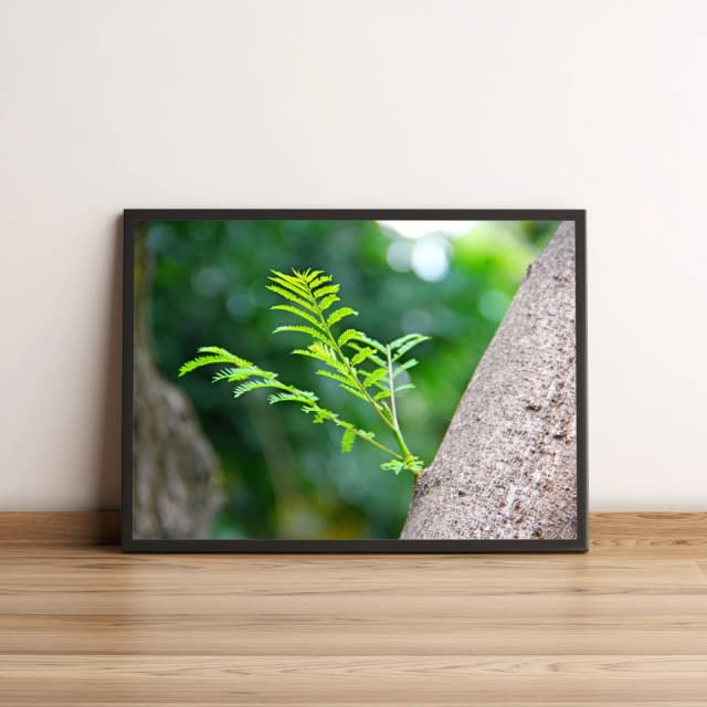 Quadro com Folhagem Verde em Árvore Decoração Natural 2038