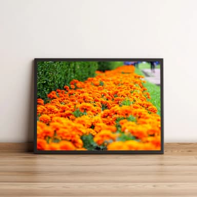 Quadro Jardim De Flores Laranjas 10