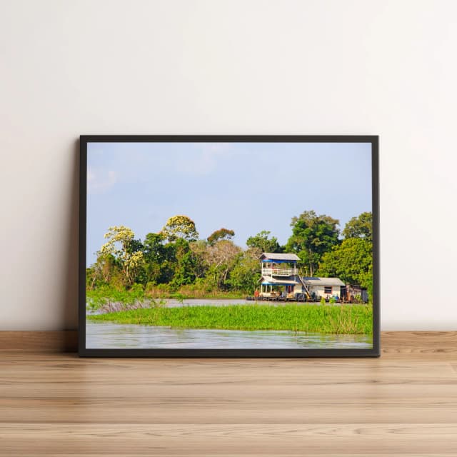 Quadro com paisagem amazônica e casa flutuante 840