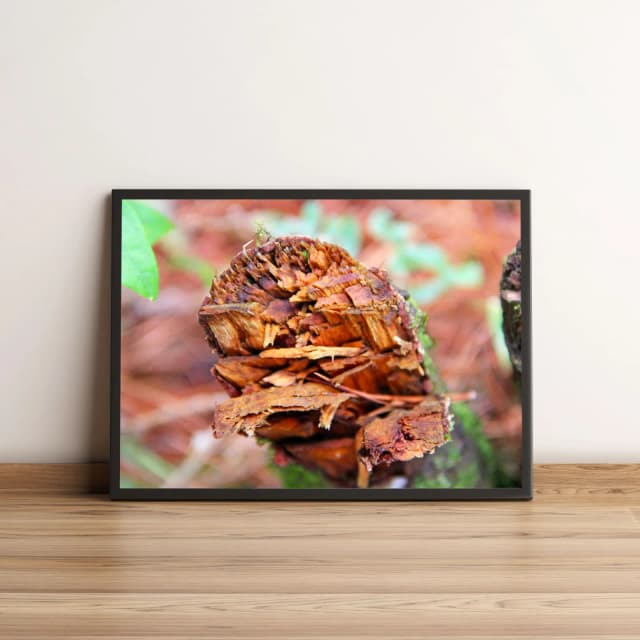 Quadro Tronco Lascado 339