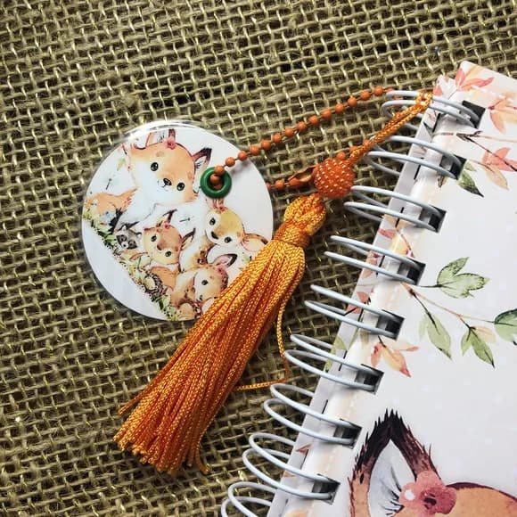 Caderneta de Saúde / Vacinação Personalizada Raposinhas