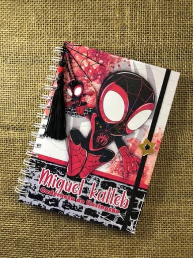 Caderneta de Saúde / Vacinação Personalizada - Homem-aranha