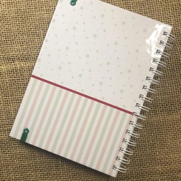 Caderneta de Saúde / Vacinação Personalizada Urso Príncipe